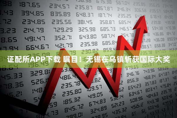 证配所APP下载 瞩目!无锡在乌镇斩获国际大奖