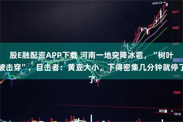 股E融配资APP下载 河南一地突降冰雹，“树叶被击穿”，目击者：黄豆大小，下得密集几分钟就停了